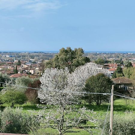 Villa Casa Bianca Pietrasanta Exterior foto